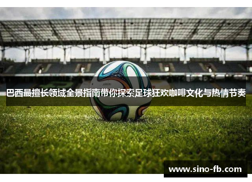巴西最擅长领域全景指南带你探索足球狂欢咖啡文化与热情节奏