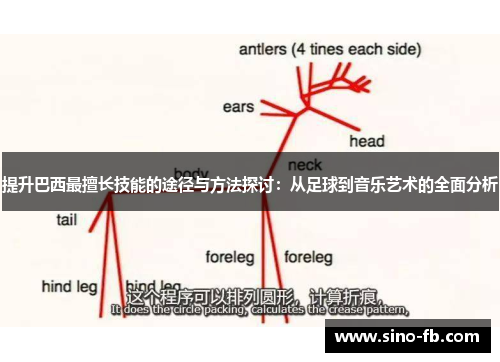 提升巴西最擅长技能的途径与方法探讨：从足球到音乐艺术的全面分析