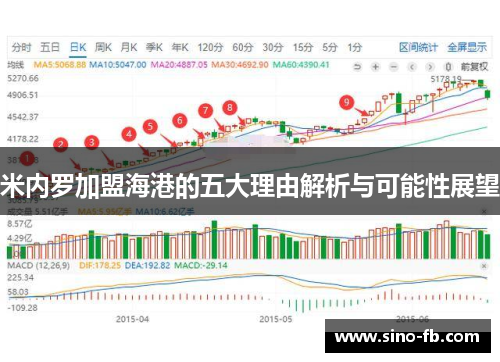 米内罗加盟海港的五大理由解析与可能性展望
