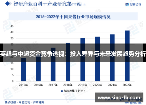 英超与中超资金竞争透视：投入差异与未来发展趋势分析