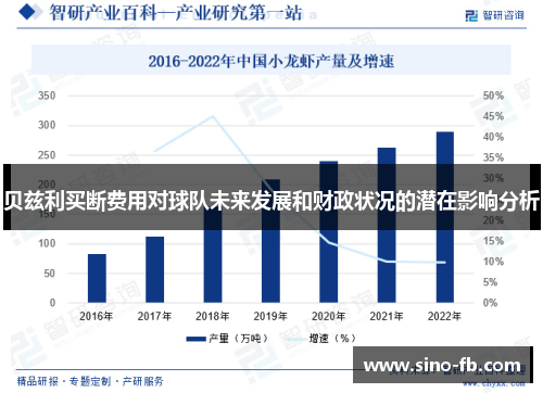 贝兹利买断费用对球队未来发展和财政状况的潜在影响分析 贝兹利买断费用对球队未来发展和财政状况的潜在影响分析