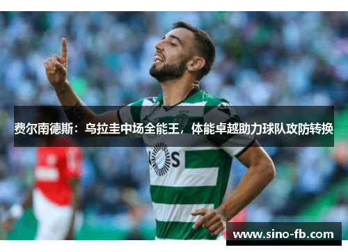 费尔南德斯:乌拉圭中场全能王,体能卓越助力球队攻防转换 费尔南德斯:乌拉圭中场全能王,体能卓越助力球队攻防转换