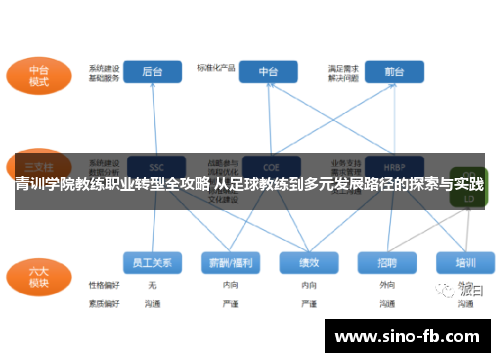 青训学院教练职业转型全攻略 从足球教练到多元发展路径的探索与实践