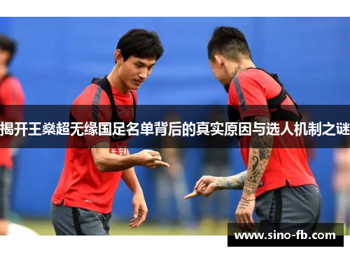 揭开王燊超无缘国足名单背后的真实原因与选人机制之谜