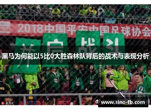 黑马为何能以5比0大胜森林队背后的战术与表现分析