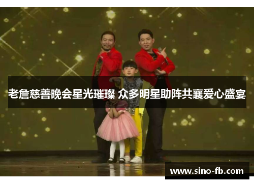 老詹慈善晚会星光璀璨 众多明星助阵共襄爱心盛宴