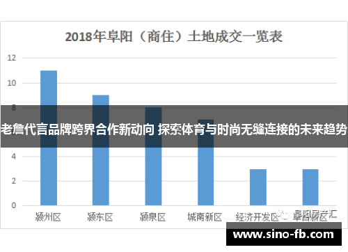 老詹代言品牌跨界合作新动向 探索体育与时尚无缝连接的未来趋势