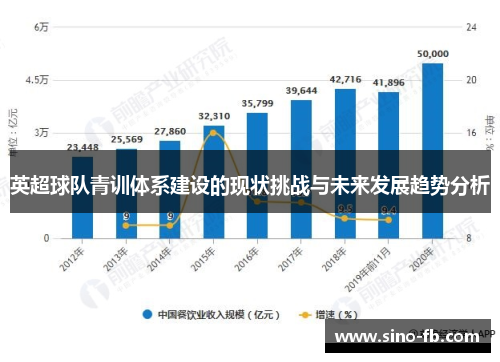 英超球队青训体系建设的现状挑战与未来发展趋势分析